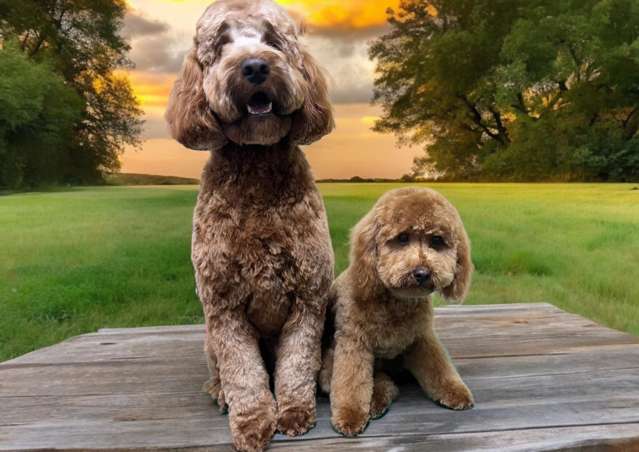 Address withheld Palmerston North_1