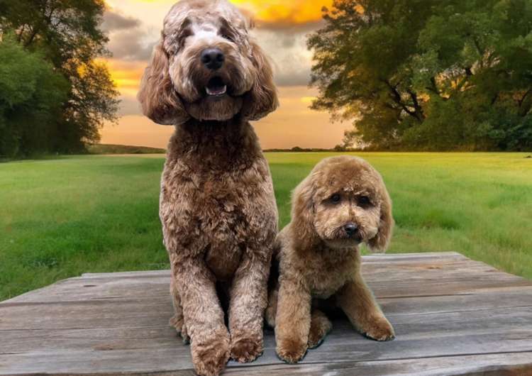 Address withheld Palmerston North_1