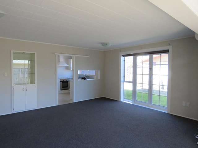 19b Norman Street Vogeltown_4