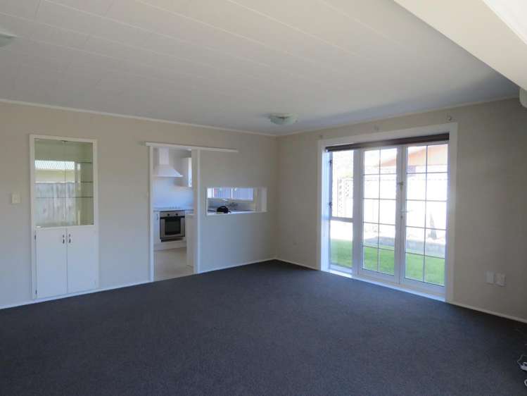 19b Norman Street Vogeltown_4
