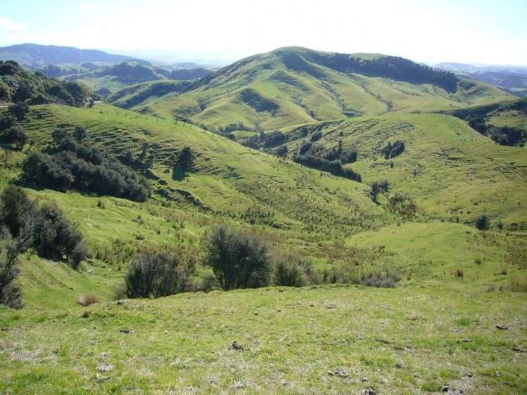 419 Spur Road Pongaroa_23