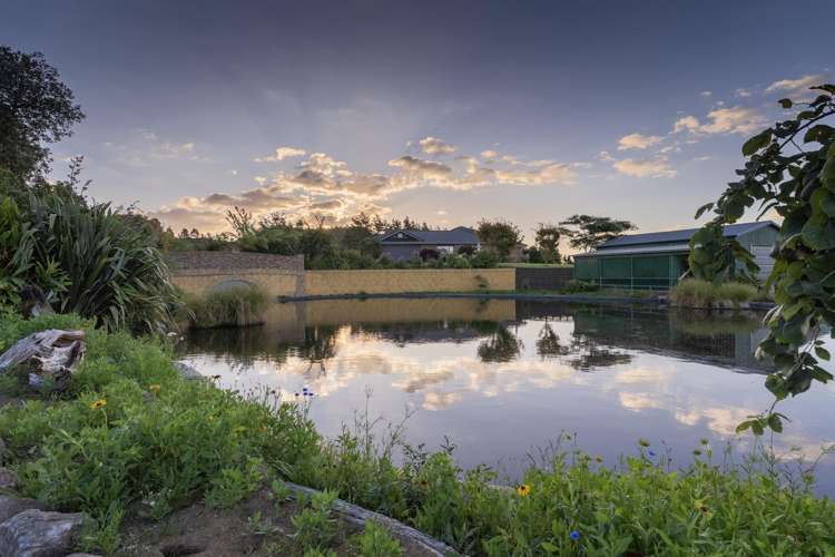 50B Paul Road Whenuakite_38