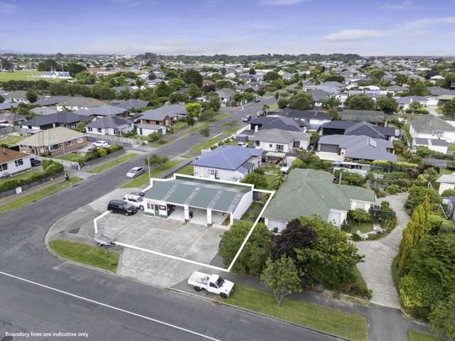 46 Ward Street Waverley_4