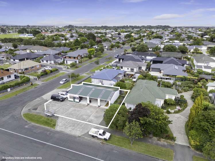 46 Ward Street Waverley_4