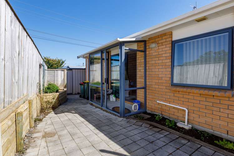 9a Simons Street Moturoa_19