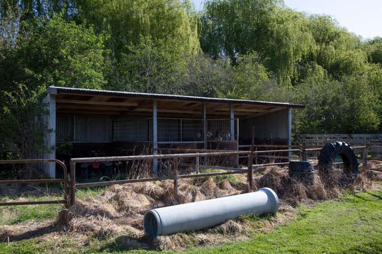 105 Jacksons Road Ohoka_5