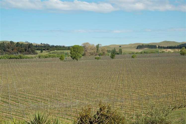 299 Reserve Road Seddon_13