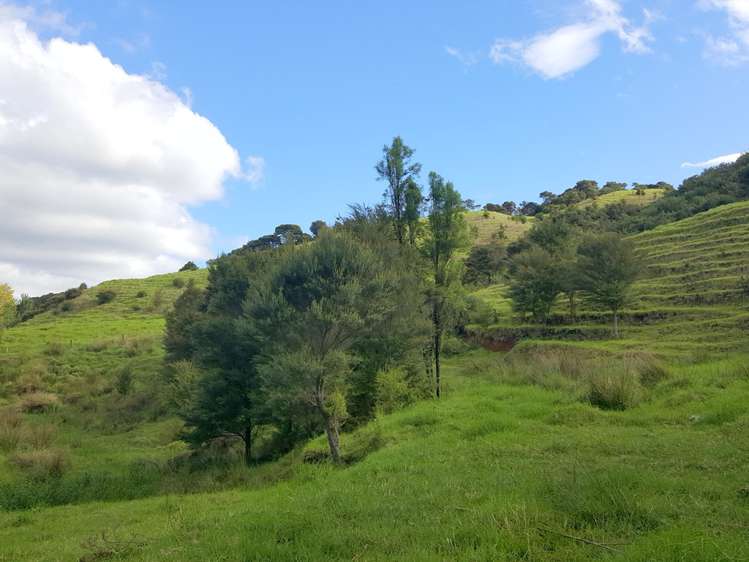 37 Crene Road Kaitaia_8