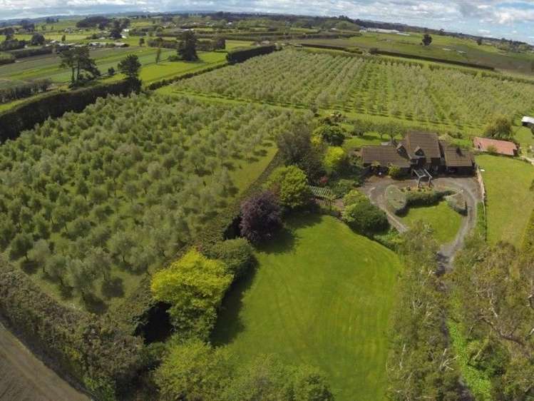 29 Westmere Road Westmere_17