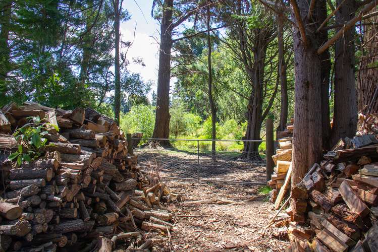 724 Norfolk Road Upper Plain_17