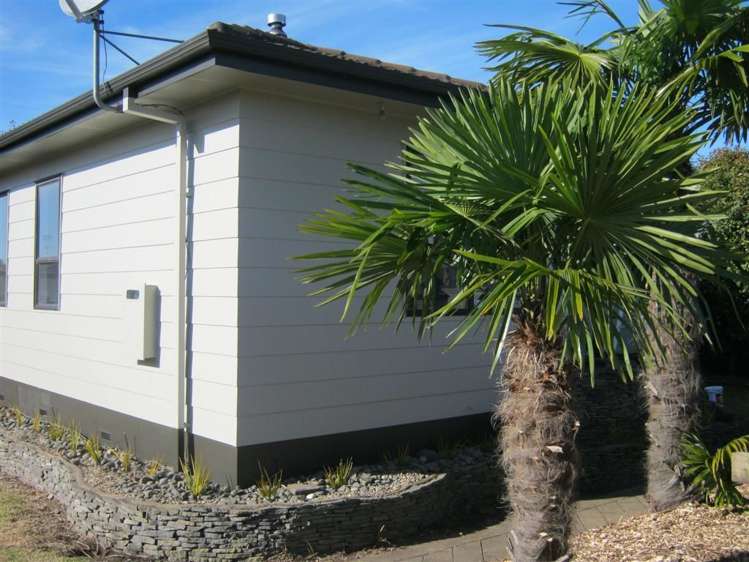 87 Domain Road Tauranga_4