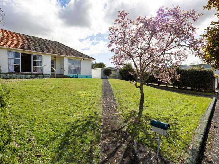 3 Plunket Terrace Hamilton East_11