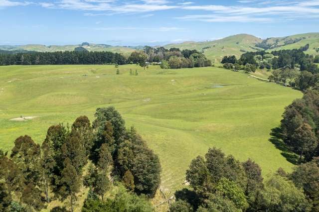 5 Carlyon Road Waipukurau_3