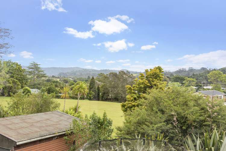 29a Forest Hill Road Henderson_13