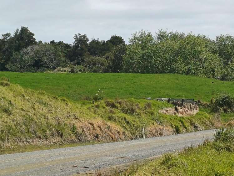 Lot 1 Arcadia Road Paparoa_15