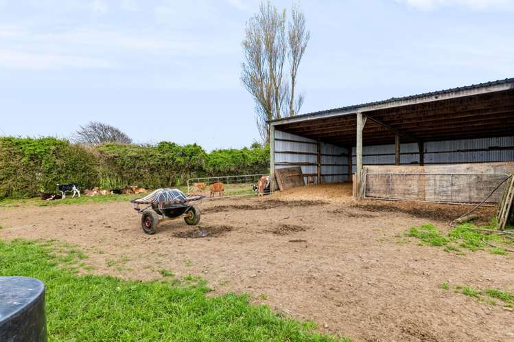 240 Eltham Road Eltham_11