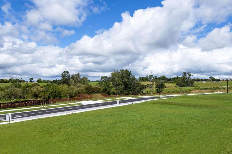 23 Oculus Terrace Peacocke_2