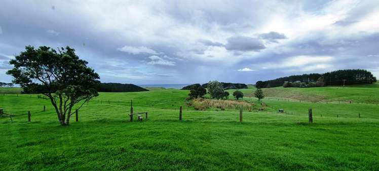 1265 Babylon Coast Road, Mamaranui Dargaville_31