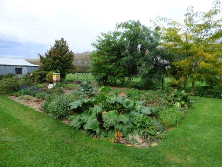 406 Racecourse Road Allenton_13