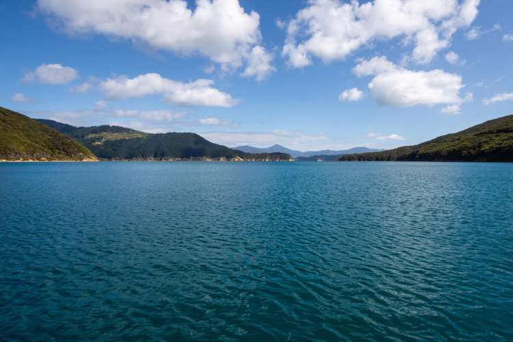 Lot 4 + 5 Te Aroha Bay, Otanerau Bay Marlborough Sounds_71