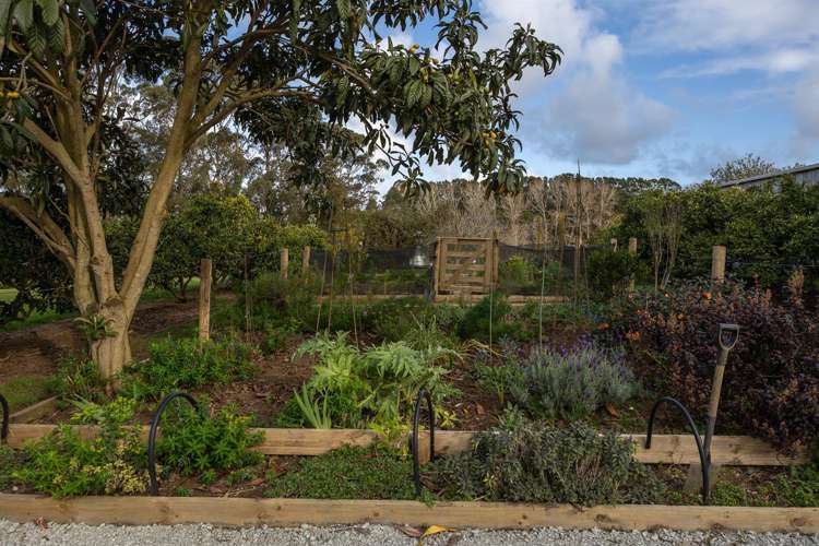 124 Rimmer Road Helensville_40