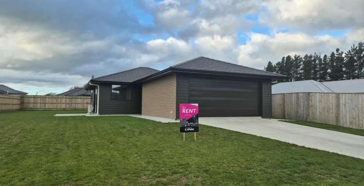 49 Hereford Street Marton_12