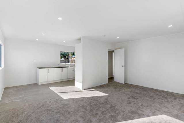 Lot 1, 102 Finlayson Avenue Clendon Park_4