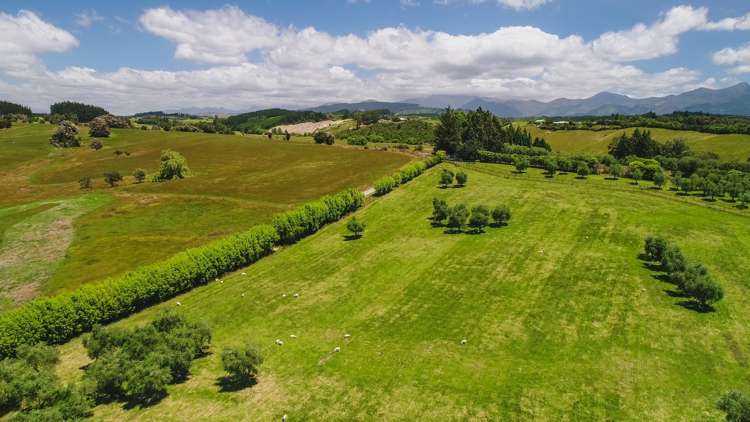 457 Central Road South Upper Moutere_4