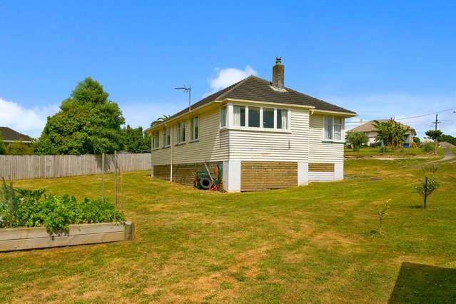 24 Goodwin Avenue Morrinsville_3