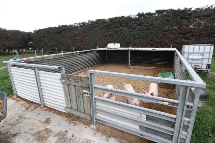 18 Thews Road Tinwald_17