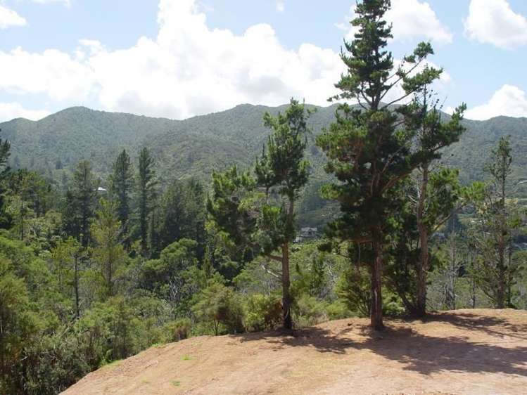 93a Colville Road Coromandel_0