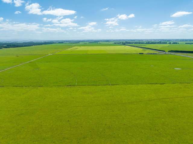 1372 South Two Chain Road Dunsandel_2