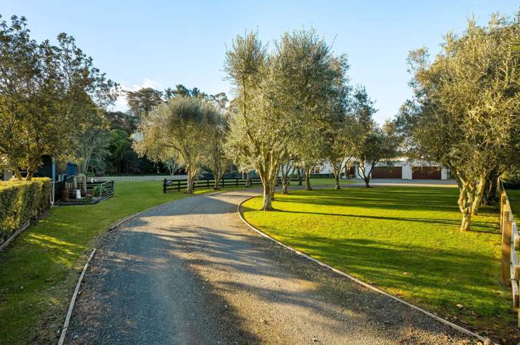 2059C Te Pahu Road Whatawhata_45