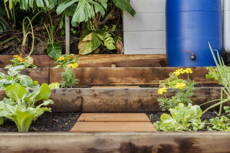 2/45 Third Avenue Kingsland_15