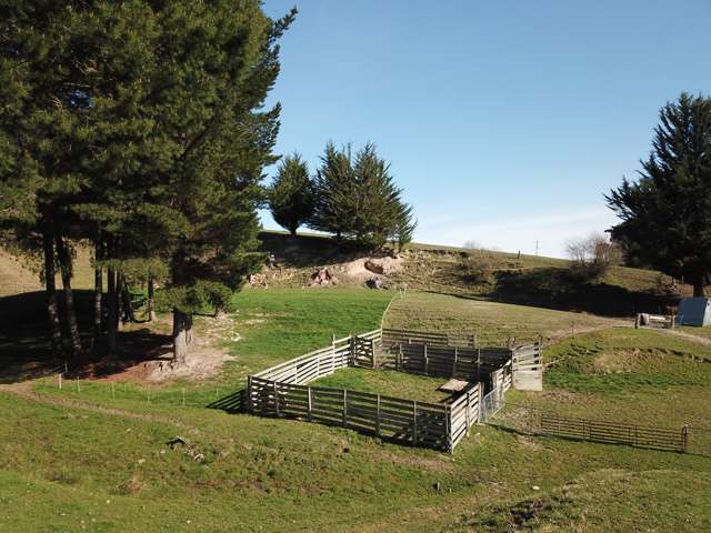 8 Annan Street Lawrence_2