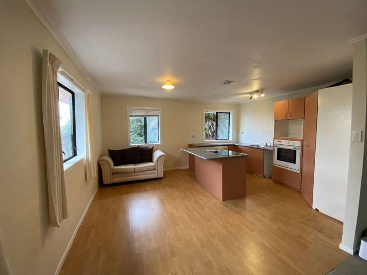 57 Astley Avenue New Lynn_3