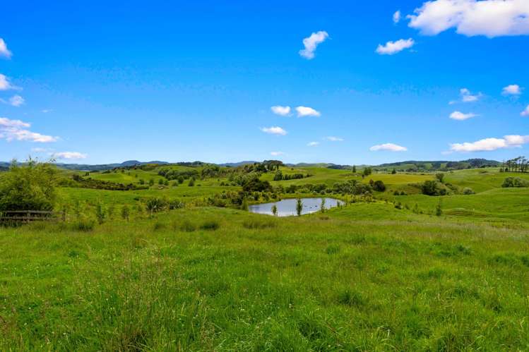 38 Rangiora Road Kaiwaka_22