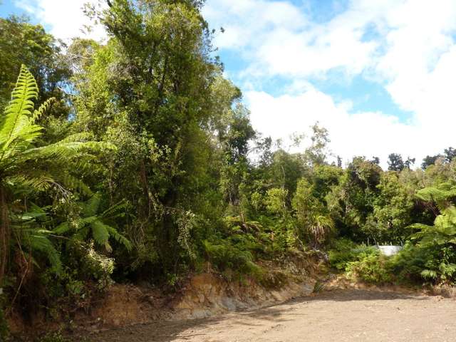 35 Mokihinui Preserve Seddonville_3