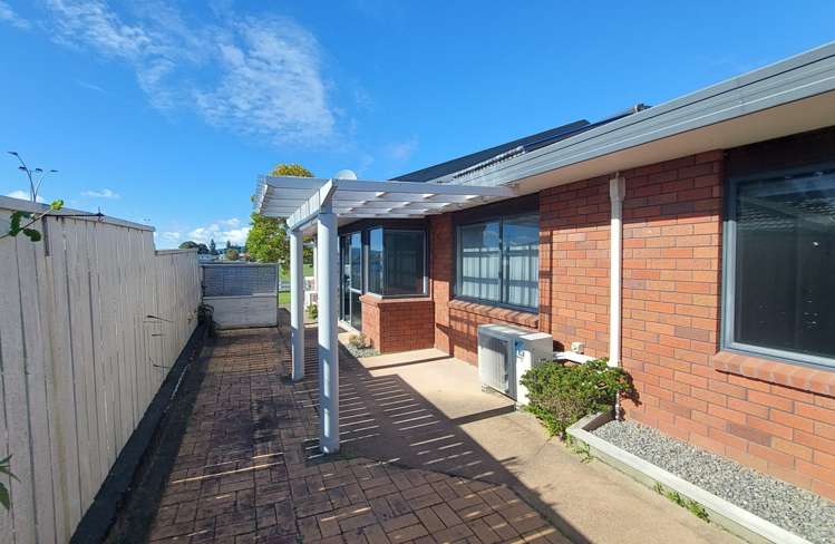 725a Cameron Road Tauranga South_2