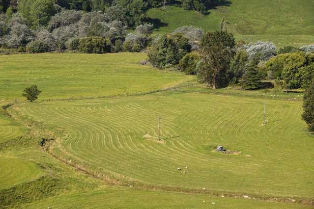 Mahaki Settlement Road Te Karaka_3