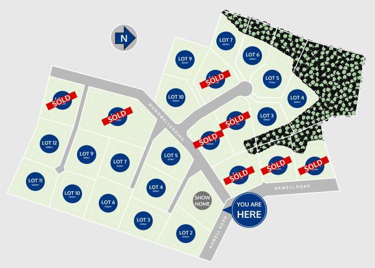 Stage 2 206 Newell Road_4