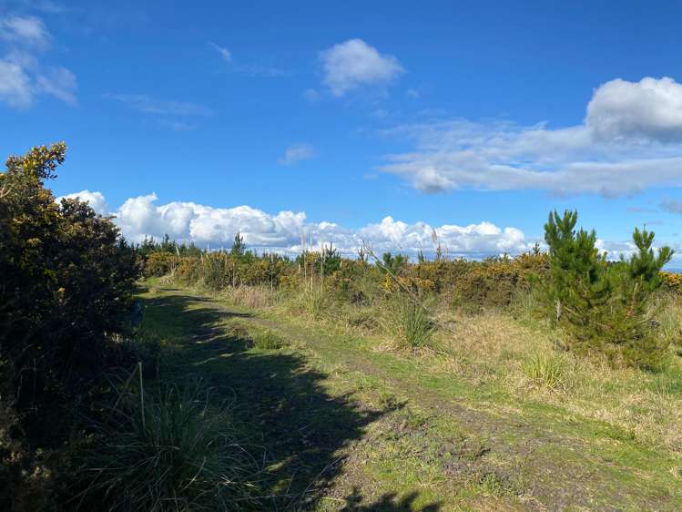 Lot 6 Tram Gully Road Awhitu_7