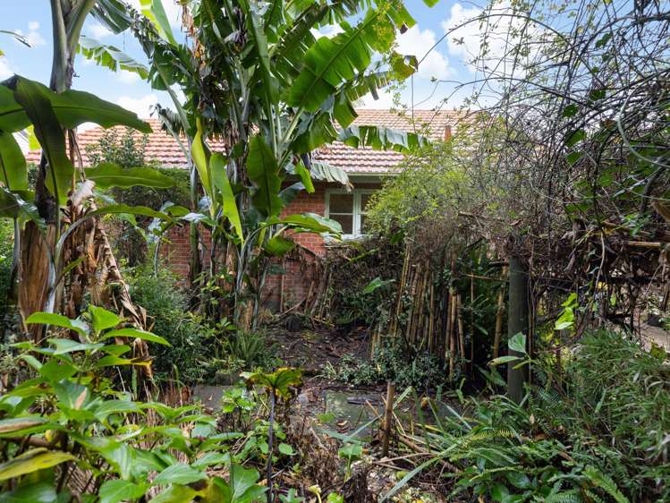 12 Galway Avenue Hamilton East_8