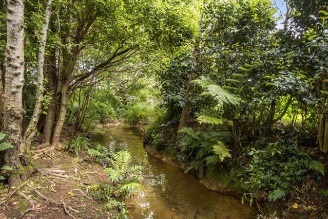 10 Richmal Street Waihi_3