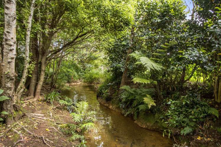 10 Richmal Street Waihi_3
