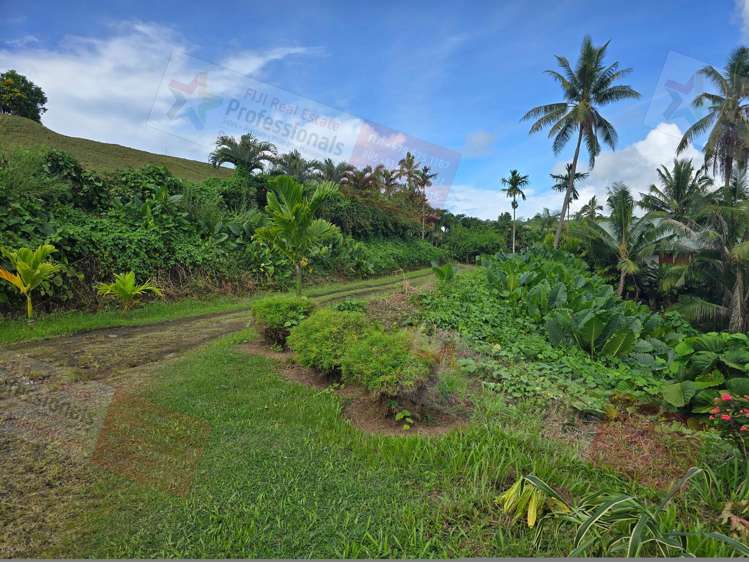 Address withheld Savusavu_28