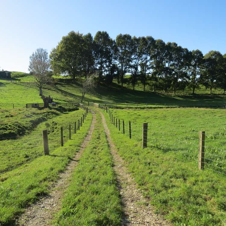 1370 State Highway 3 Te Kuiti_22