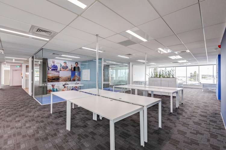 131 New North Road Eden Terrace_3