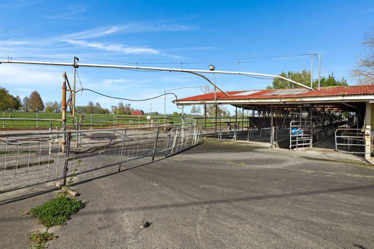 84 Goodwin Road Ohaupo_25