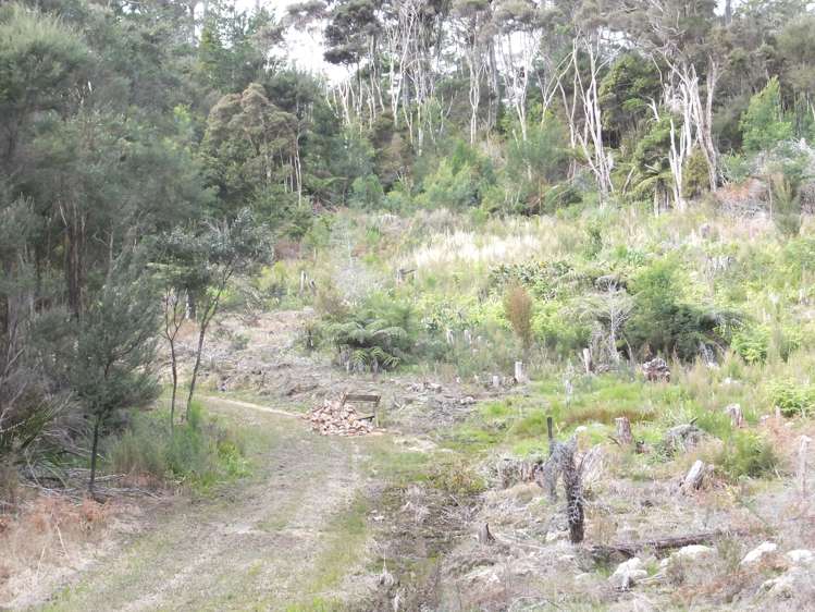 63 Wainui Road Kaeo_7